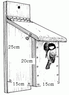 Skizze Nistkasten mit Maen